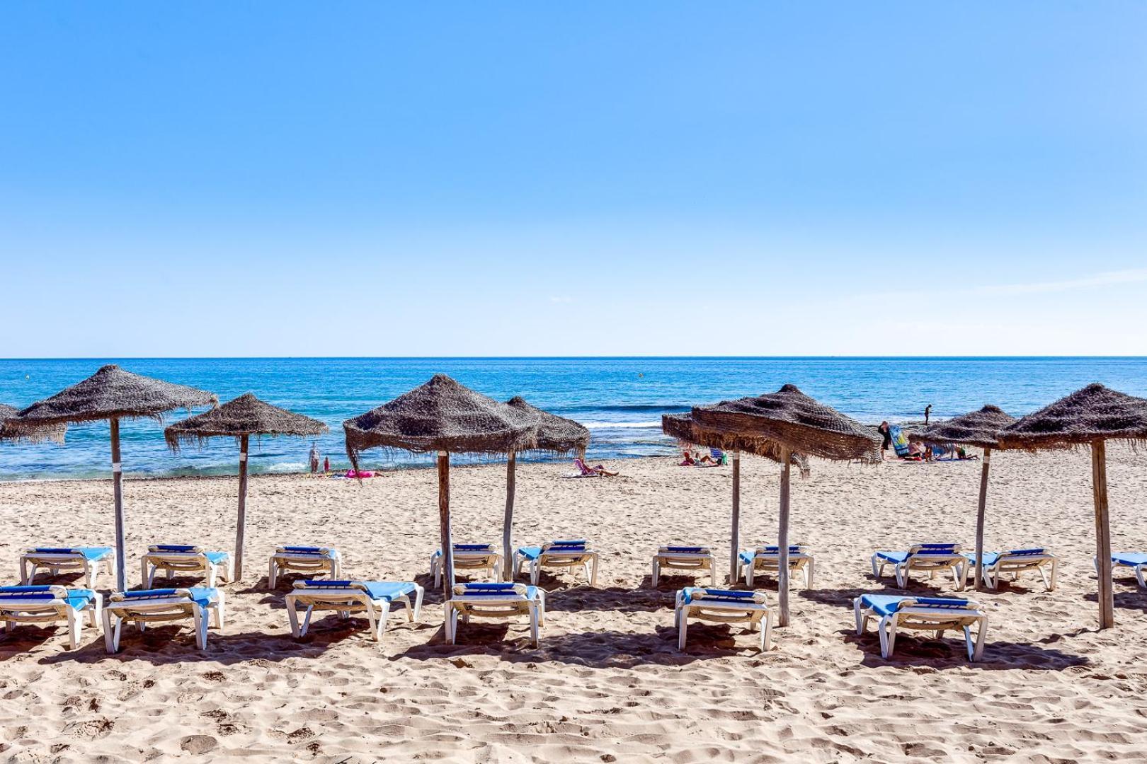 Estudio Jardin Del Mar Torrevieja Dış mekan fotoğraf