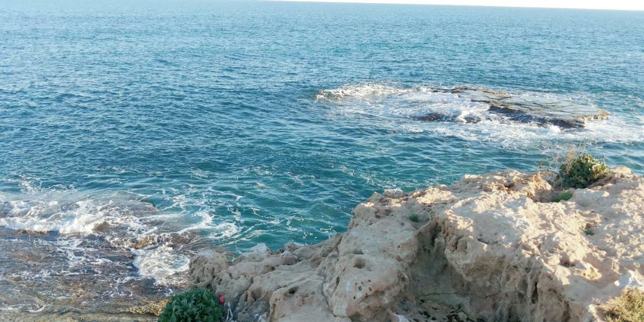 Estudio Jardin Del Mar Torrevieja Dış mekan fotoğraf